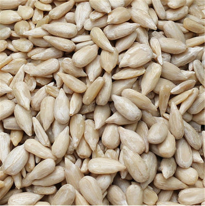 2 kembang sunflower kernel