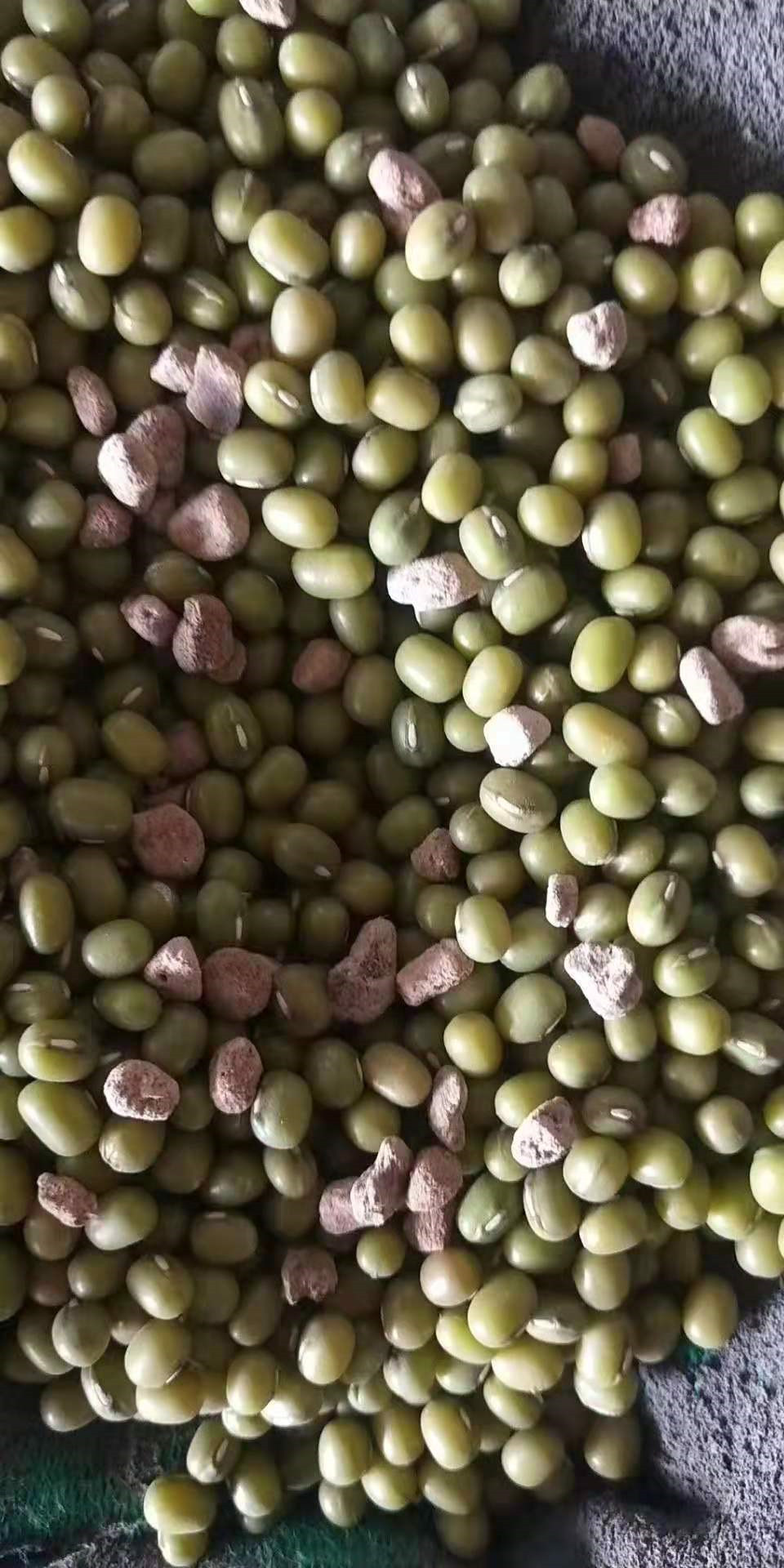 hilaw nga materyal nga mungbean