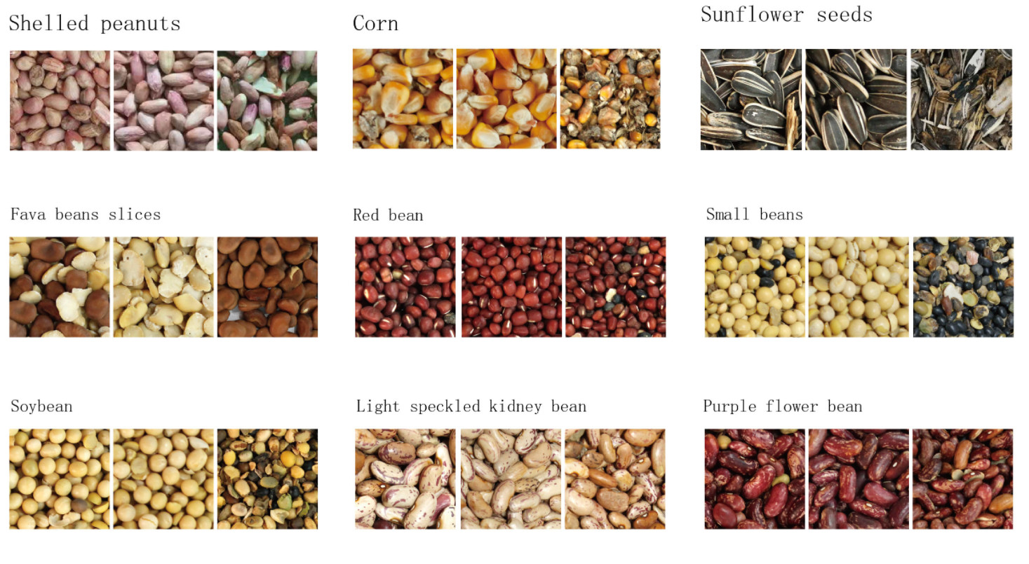 Fasole Semințe de susan Sortator de culoare pentru cereale Sortare după culoare diferită