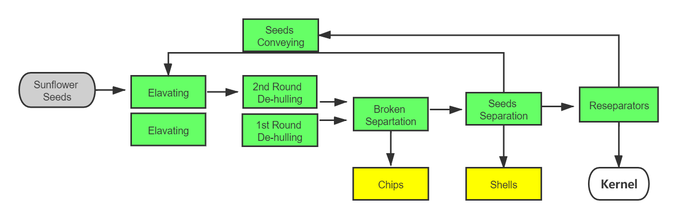 Sunflower Dehulling and Cleaning Machines Plant
