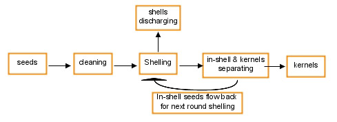 Sunflower Dehulling and Cleaning Machines Plant