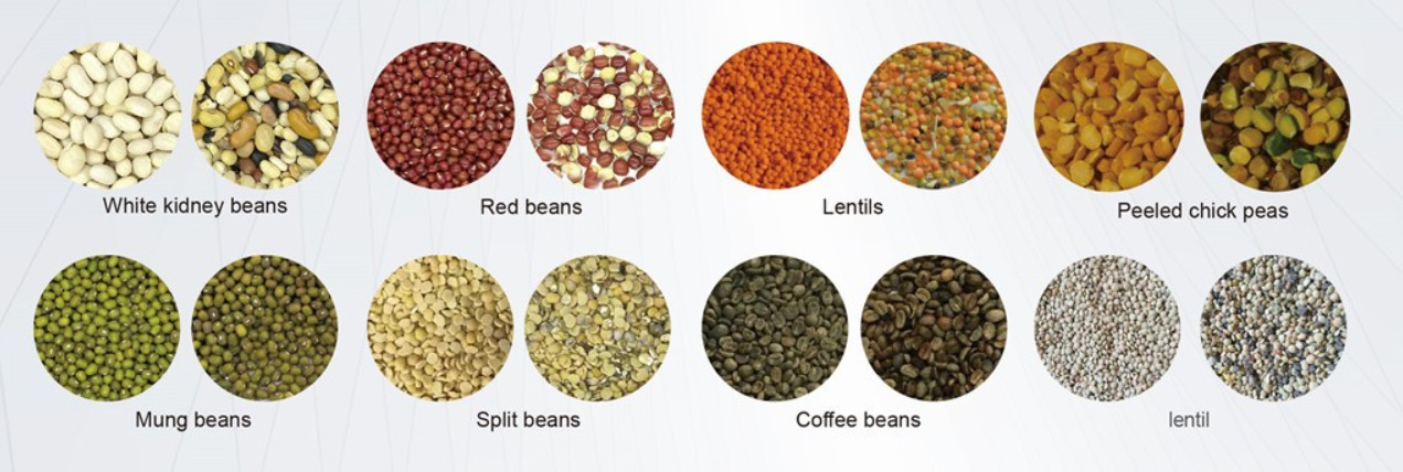 Beans Pulses Cleaning Plant Line Processing