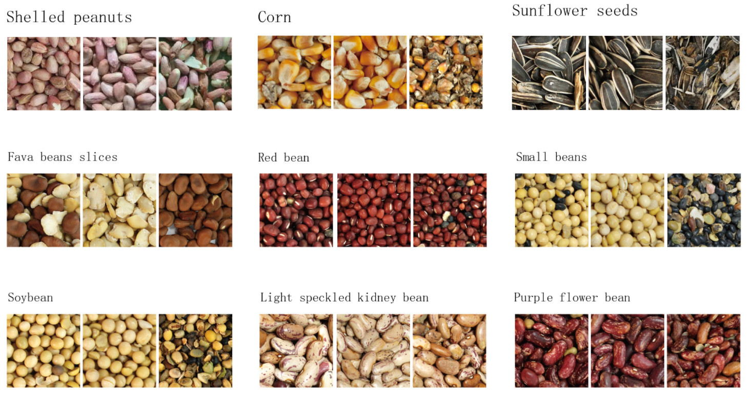 Beans Sesame Seed Grain Color Sorter Sorting by different color